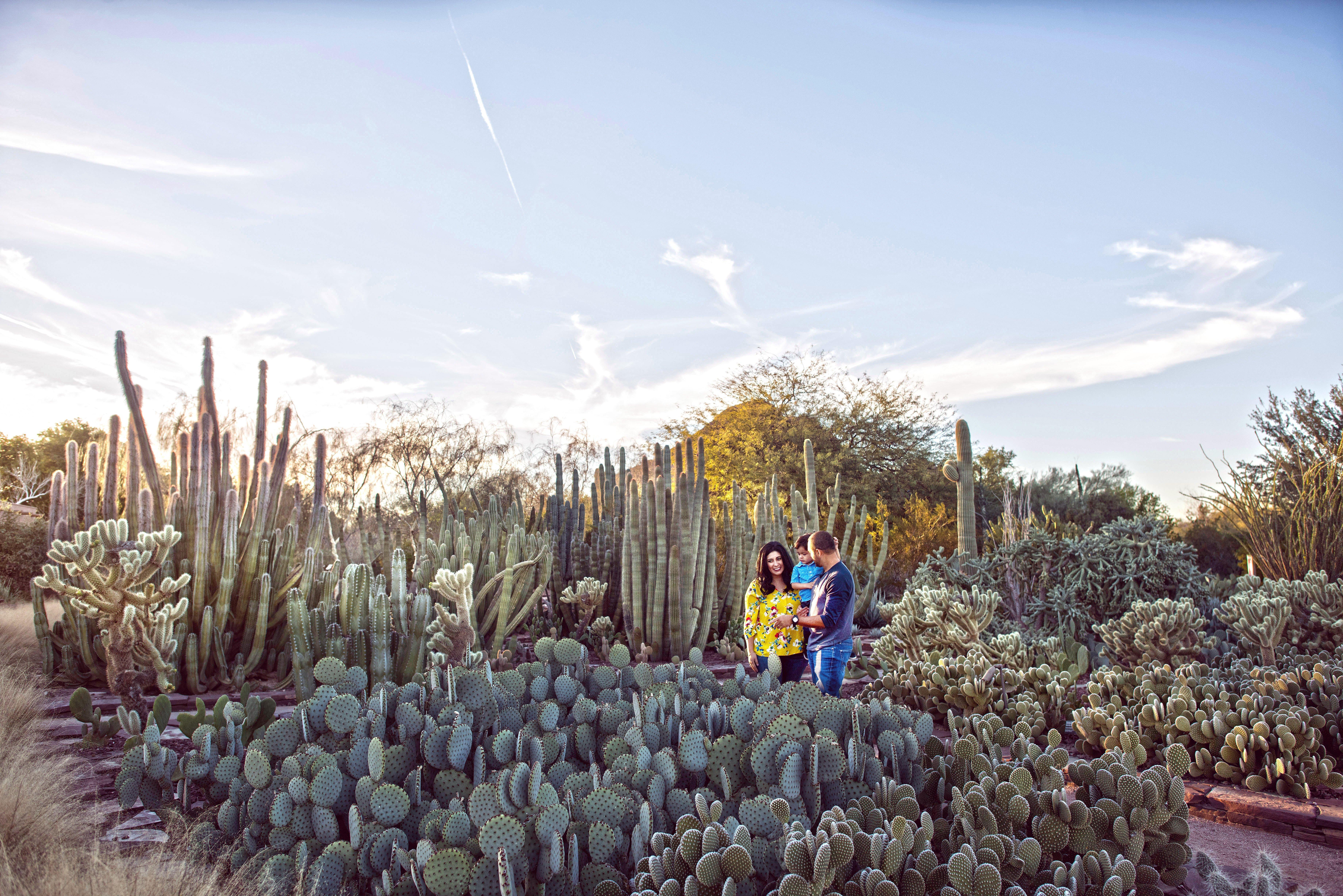 Holiday Inn Express & Suites - Phoenix - Airport North By Ihg Экстерьер фото